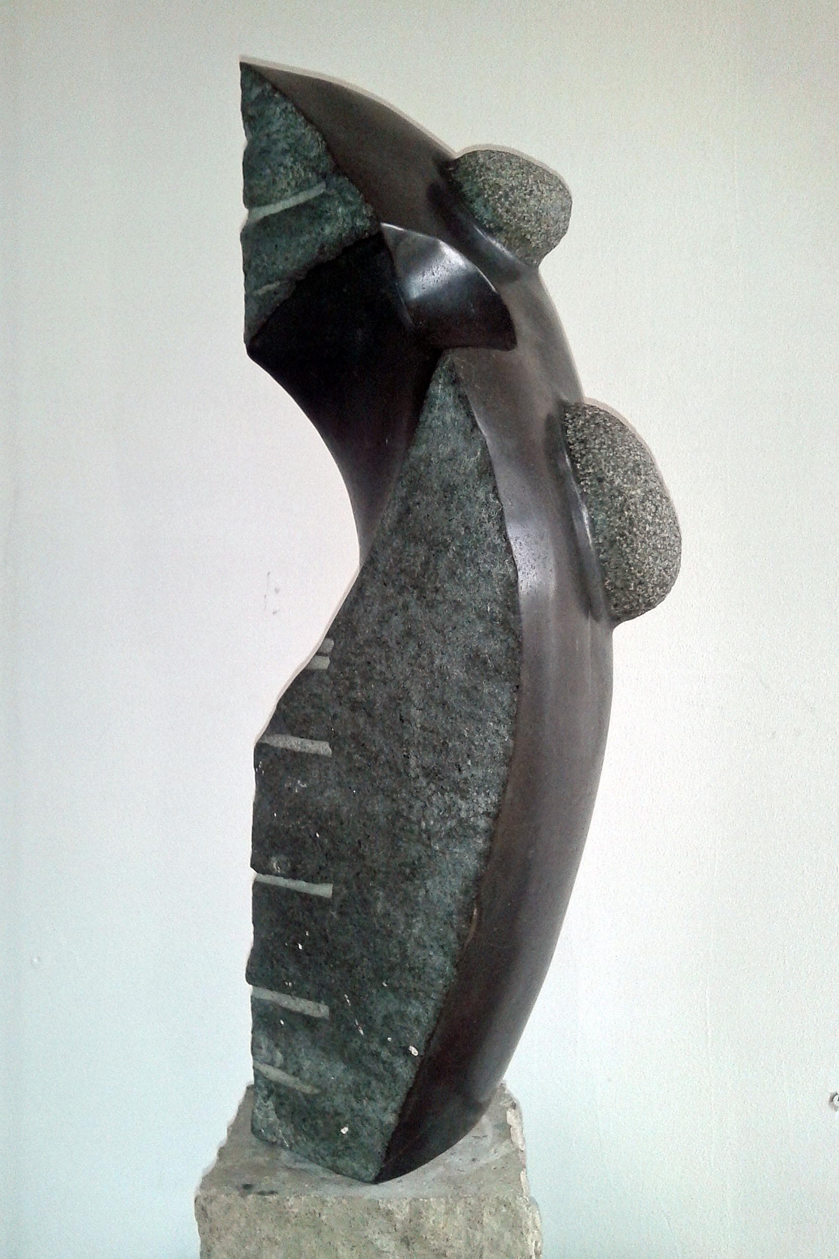 Forma Biomórfica — Granito negro